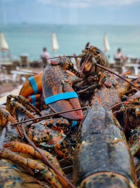 Le Bas Fort Blanc - Restaurant Dieppe - Meilleur restaurant Dieppe